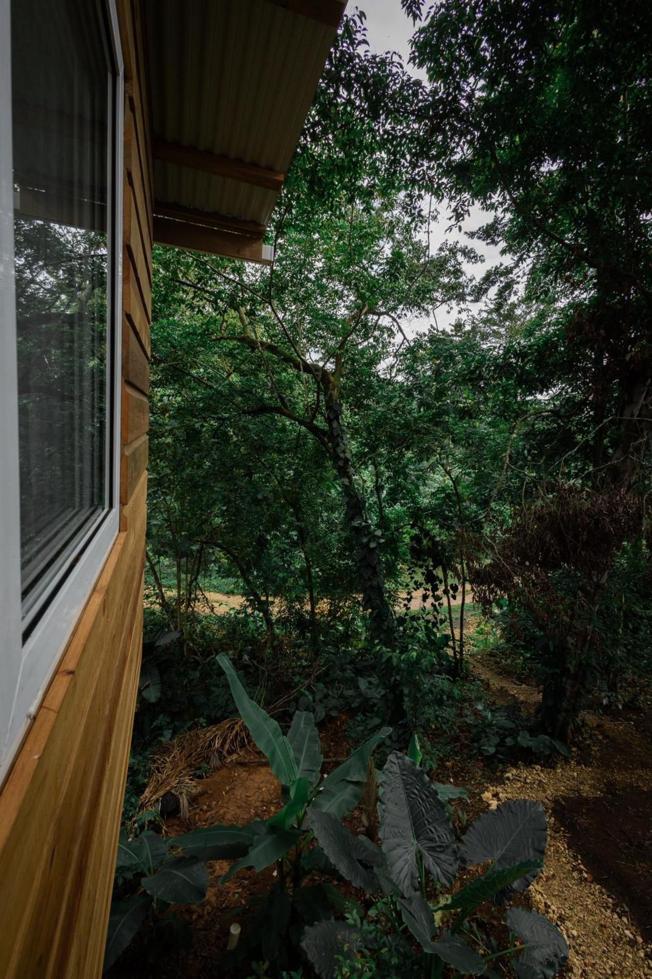 Vila Monkey Tiny House - Private Swimming Pool Big Bight Exteriér fotografie
